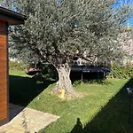 Dependance Con Giardino A Pescara Holiday home Spoltore