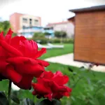 Dependance Con Giardino A Pescara Holiday home