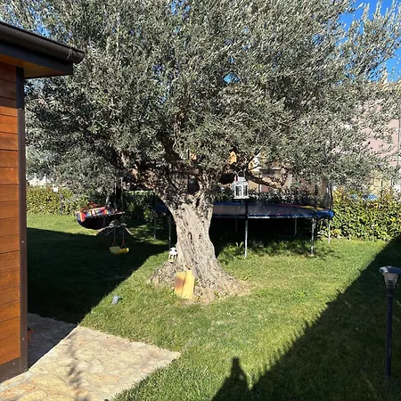 La Depandance Con Giardino Pescara Nyaraló Spoltore