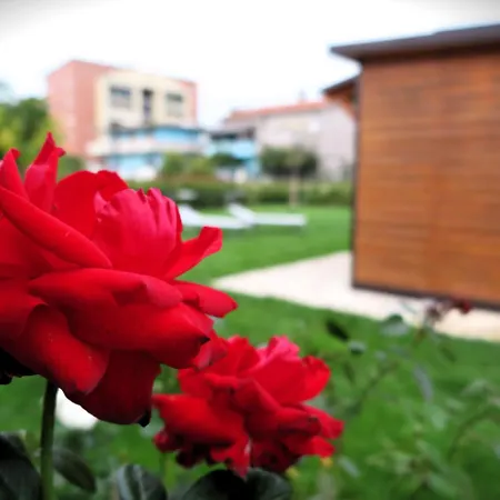 La Depandance Con Giardino Pescara Nyaraló