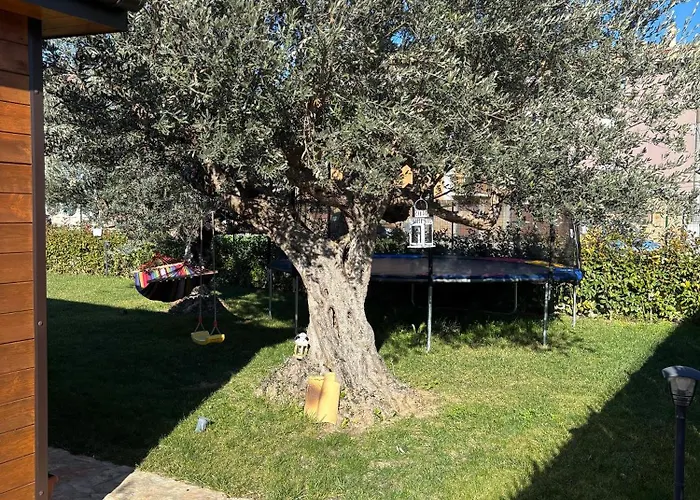 Dependance Con Giardino A Pescara * Спольторе