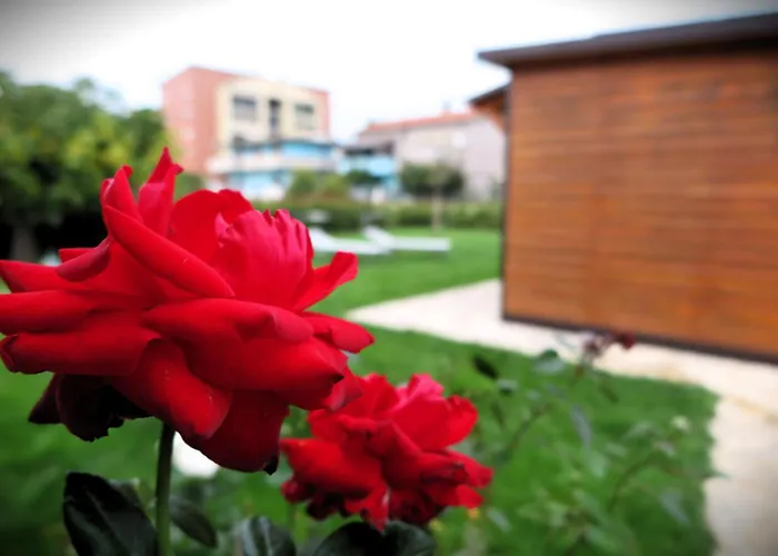 Dependance Con Giardino A Pescara * Спольторе